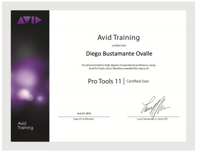 DiegoB.AvidCertificate